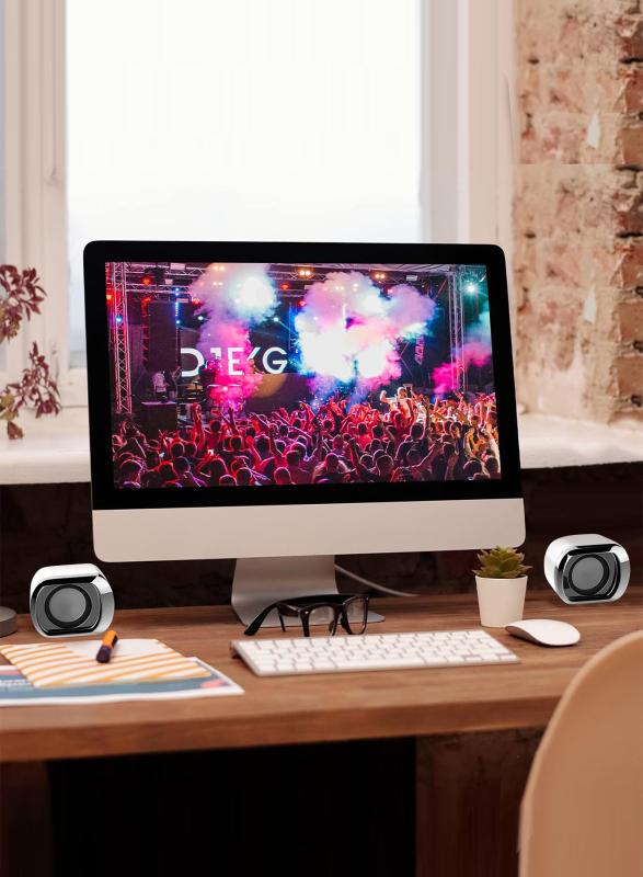 Computer Speaker