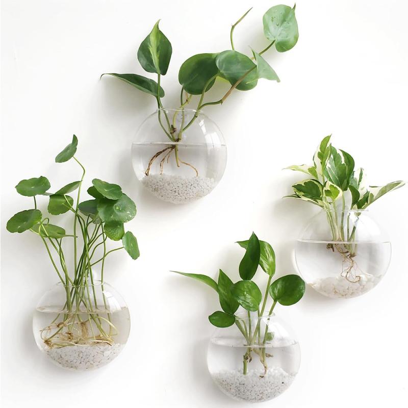 2/4/6 Pack Wall Hanging Glass Terrarium