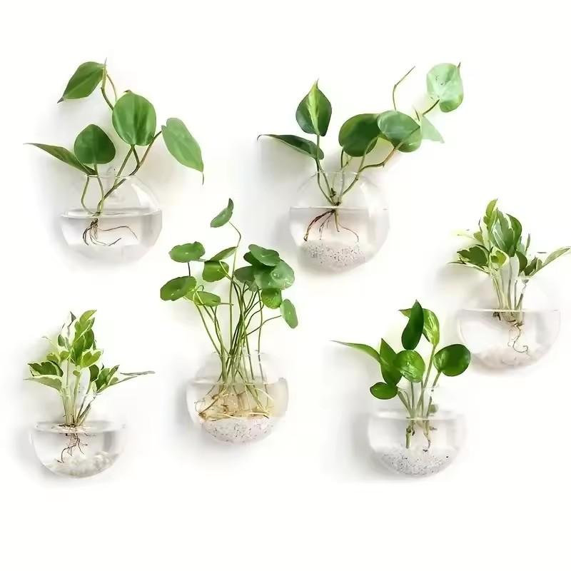 2/4/6 Pack Wall Hanging Glass Terrarium