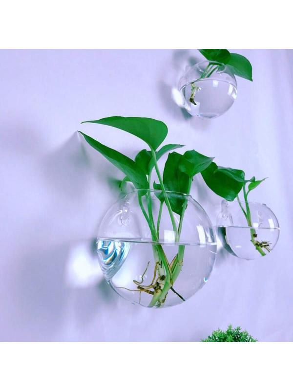 2/4/6 Pack Wall Hanging Glass Terrarium