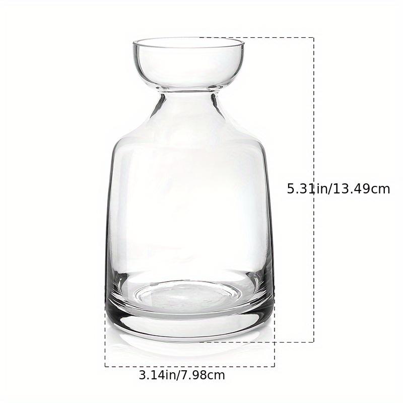 Two-piece Avocado Seed Starter Vase