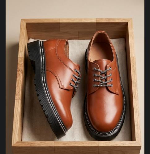 Brown leather shoe