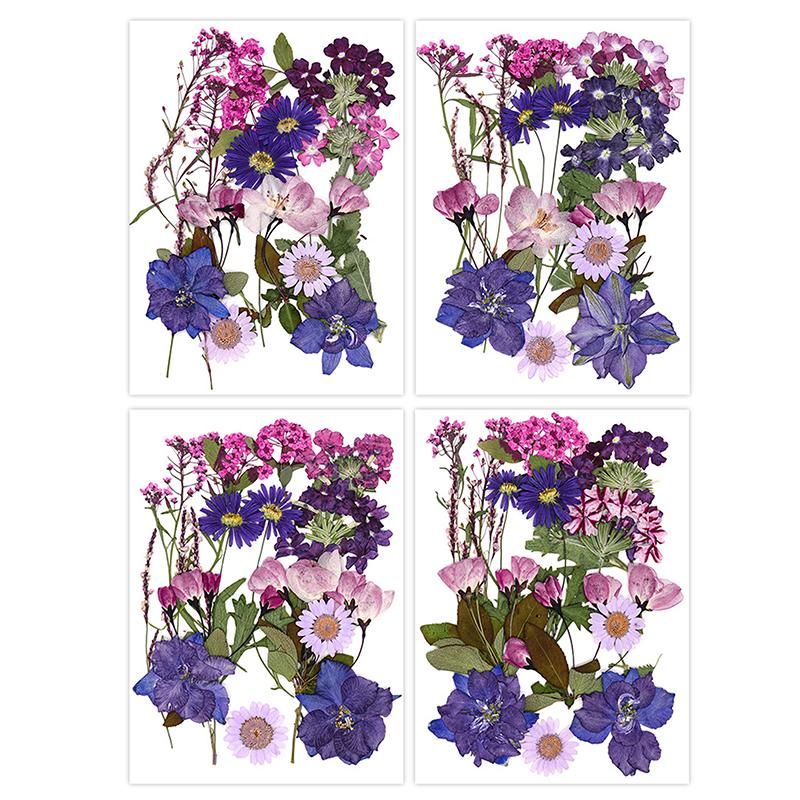 Dried Flowers Real Natural Plant Pressed Flower For Epoxy