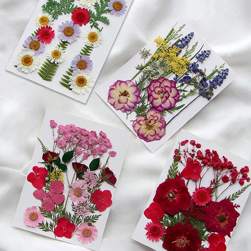 Dried Flowers Real Natural Plant Pressed Flower For Epoxy