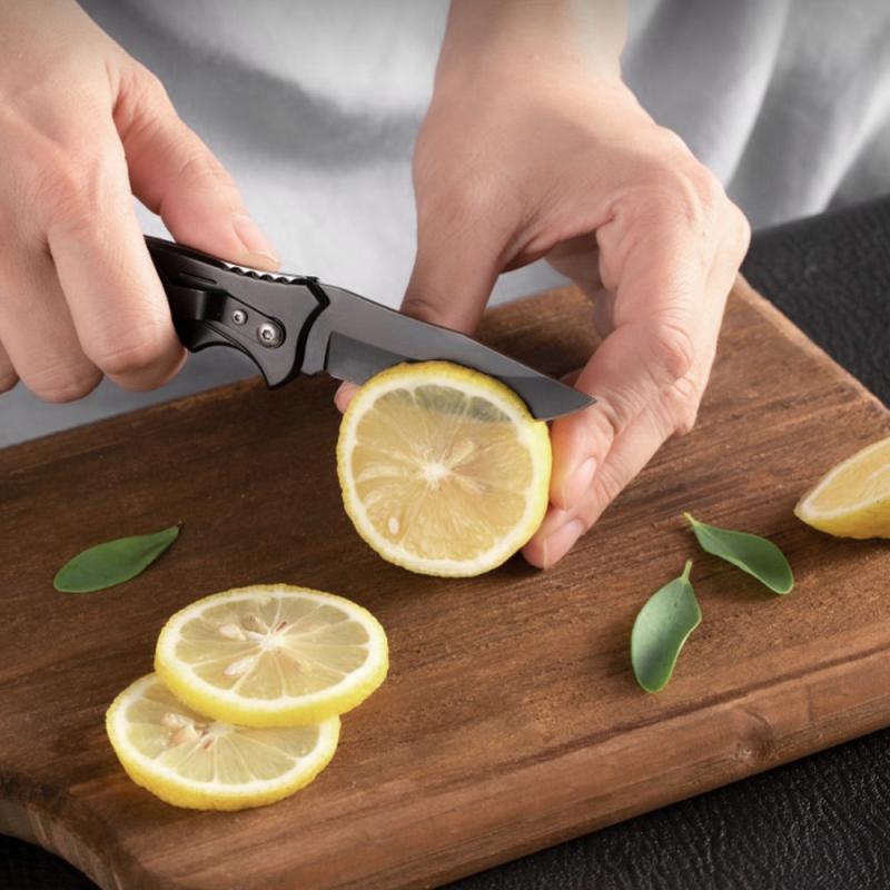 Stainless Steel Folding Knife