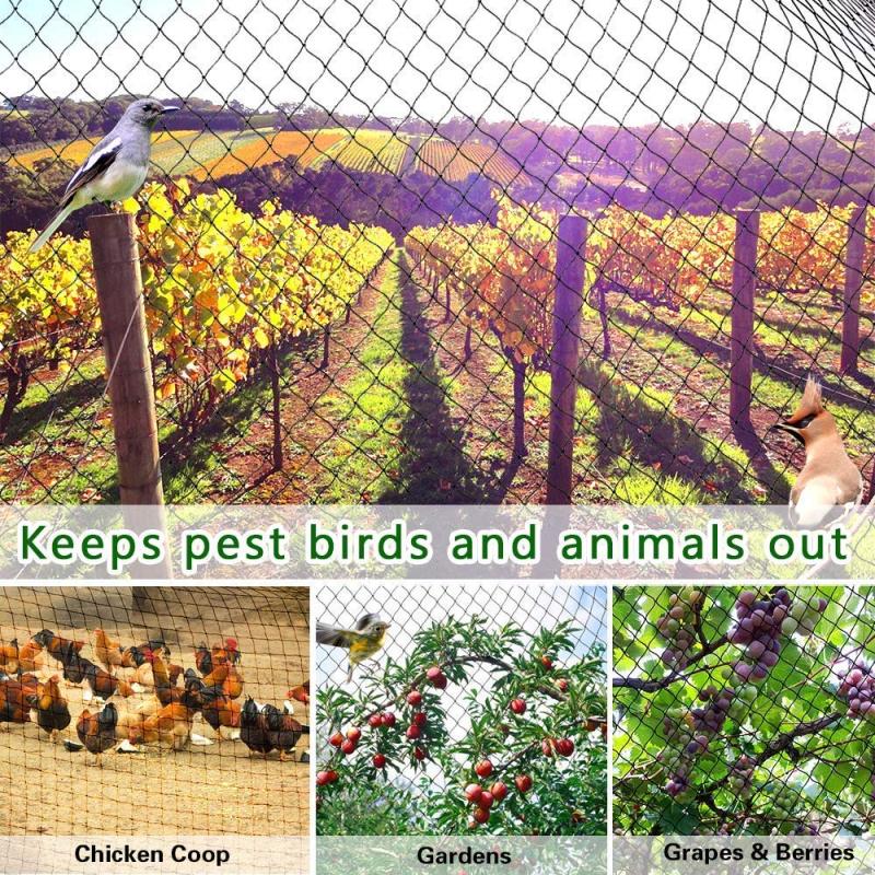 Solid White Nylon Netting