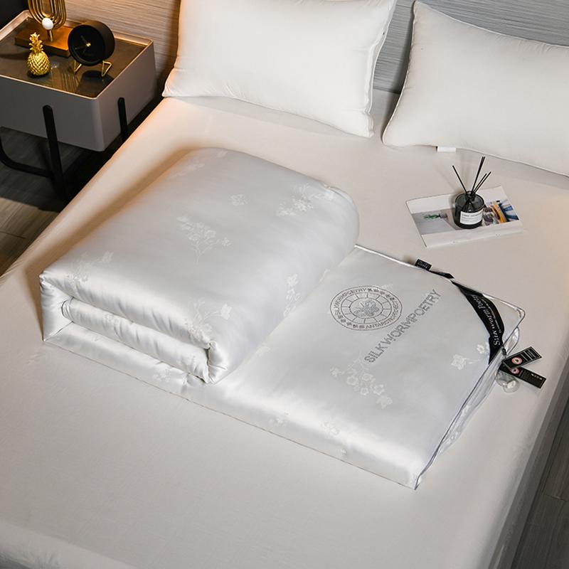 100% Mulberry Silk Quilt