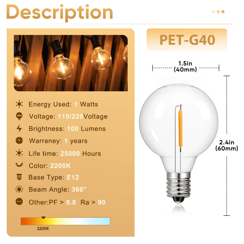 Shatterproof G40 String Light